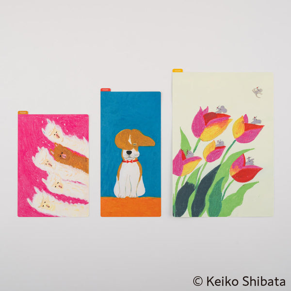 Hobonichi A5 Keiko Shibata: Pencil Board