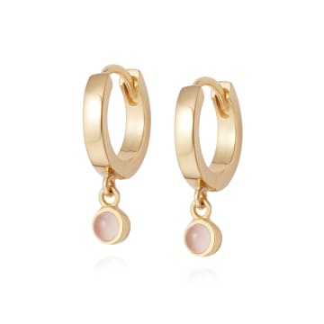Daisy London Rose Quartz Healing Stone Huggie Earrings In Gold