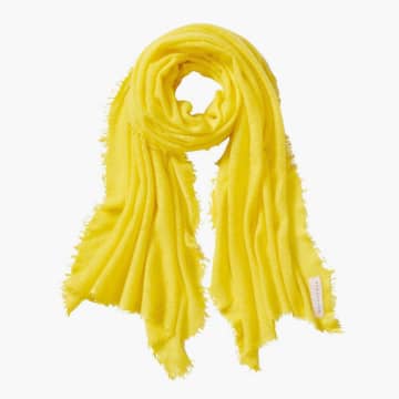 Pur Schoen Hand Felted Cashmere Soft Scarf In Yellow