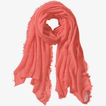Pur Schoen Hand Felted Cashmere Soft Scarf In Coral