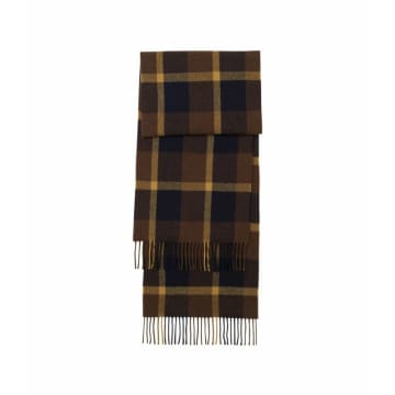 Apc Nobility Scarf In Brown