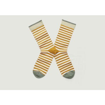Bonne Maison Honey And Ecru Striped Socks With Contrasting Edges