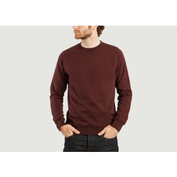 Colorful Standard Bordeaux Red Classic Sweatshirt In Burgundy