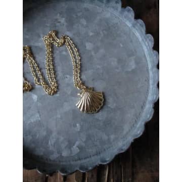 Collardmanson Sea Shell Necklace In Gold