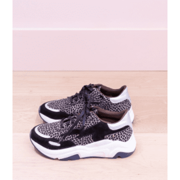 220v Sneaker Animal Print In Brown