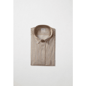 Traiano Milano Beige Striped Button Down Shirt In Neturals