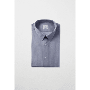 Traiano Milano Blue Striped French Collar Shirt
