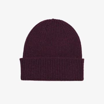 Colorful Standard Hats In Maroon