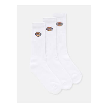 Shop Dickies Valley Grove Socks In White