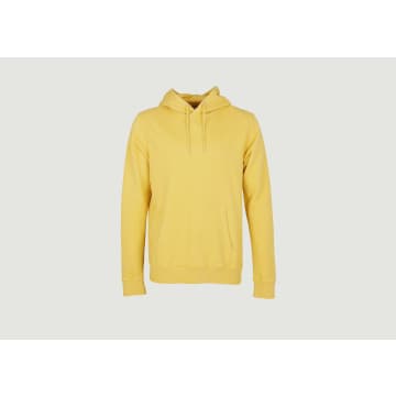 Colorful Standard Classic Organic Cotton Hoodie