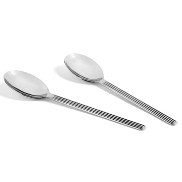 Hay Sunday Serving Spoon Set Of 2 In Gray
