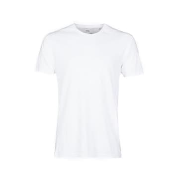 Shop Colorful Standard Classic Tee Optical White