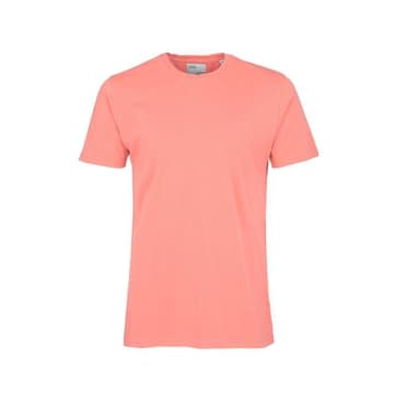 Colorful Standard Classic Tee Bright Coral In Pink