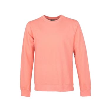 Colorful Standard Crew Sweat Bright Coral In Pink