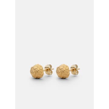 Skultuna Opaque Earrings – Matte Gold
