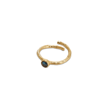 Nkuku Kira Adjustable Ring Labradorite In Gold