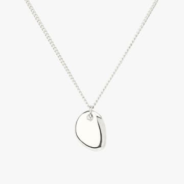 Wildthings Collectables Silver Pebble Necklace In Metallic