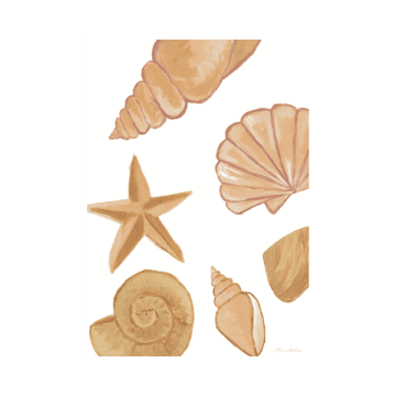 A La Poster A 4 Shells
