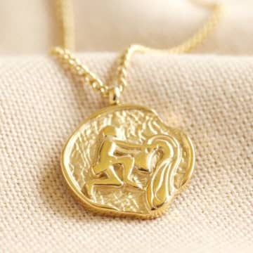 Lisa Angel Zodiac Gold Aquarius Coin Pendant Necklace