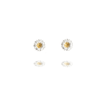 Curiouser And Curiouser Sterling Silver Large Daisy Stud Earrings With Golden Centre In Metallic