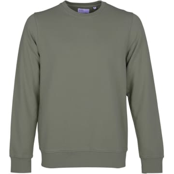 Colorful Standard Cs1005 Classic Organic Crew Dusty Olive In Green