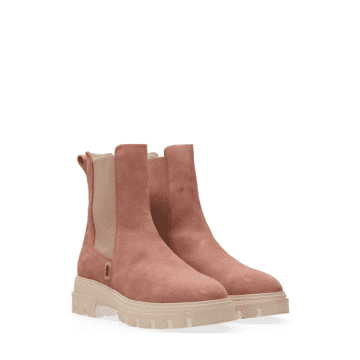 Maruti Felice Suede Chelsea Boots Antique Pink