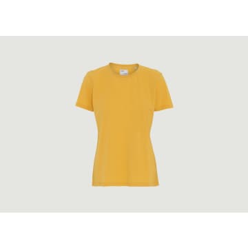 Colorful Standard Organic Cotton Slim-fit T-shirt