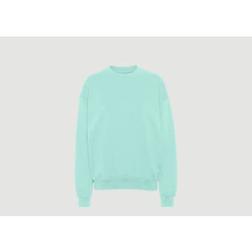 Colorful Standard Organic Cotton Sweatshirt