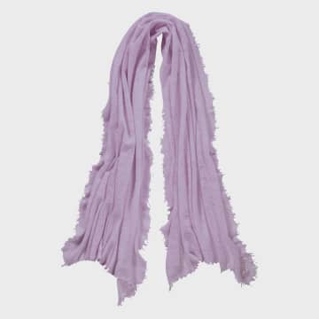 Pur Schoen Hand Felted Cashmere Soft Scarf In Lavender