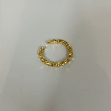 Anorak Gold Plated Brass Ring
