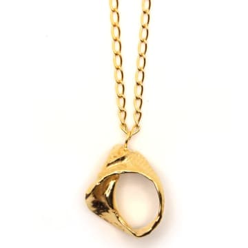 Hannah Bourn Large Fragmented Shell Necklace In Gold