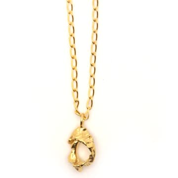 Hannah Bourn Small Textured Fragmented Shell Necklace In Gold