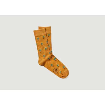 Royalties Socks With Palmito Pattern
