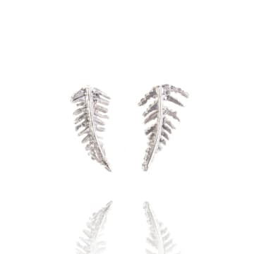 Amanda Coleman Botanical Fern Stud Earrings In Silver Sterling In Metallic