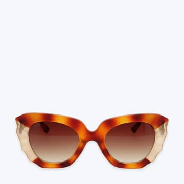 Tiwi Matisse 114  Sunglasses