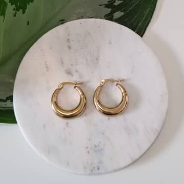 Golden Ivy Cleo Gold Earrings Small