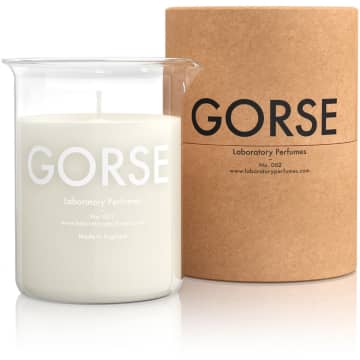 Laboratory Perfumes Soy Wax 002 Fresh Crisp Gorse Scented Room Candle In White