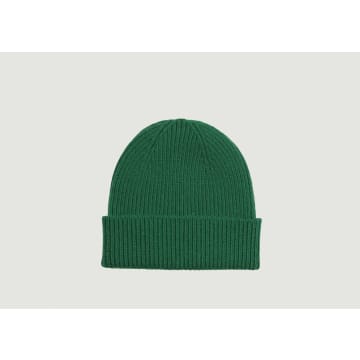 Colorful Standard Knitted Recycled-merino Wool Beanie Hat In Kelly Green