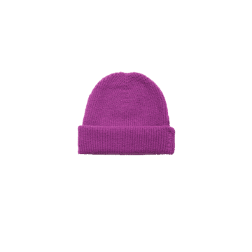 Frnch Ivy Hat In Purple