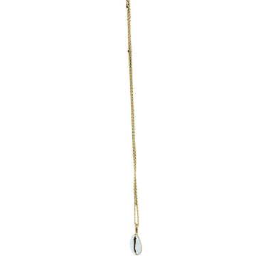 Collardmanson Cowrie Shell Necklace In Metallic