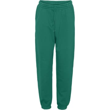 Colorful Standard Cs1011 Classic Organic Sweatpants Pine Green