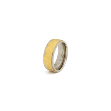 Gemini Silver And Gold Timor Ring In Metallic