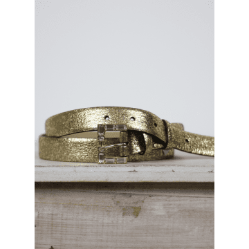 Abro Medium Belt Leather Metallic Gold