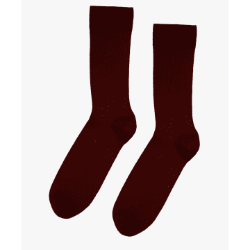 Colorful Standard Cs6003 Merino Wool Blend Socks Oxblood Red
