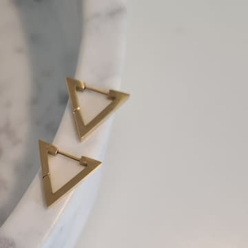 Golden Ivy Lux Steel Earrings (2 Variants) In Metallic