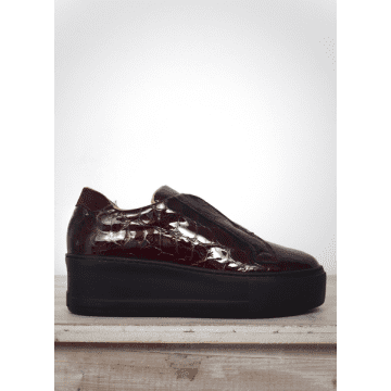 Donna Lei Cocco Vernice Trainer Bordeaux In Burgundy