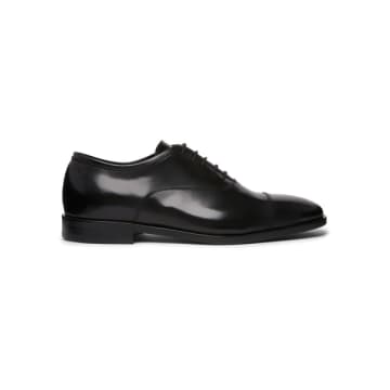 Harrys Of London Shoe In Black