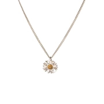 Amanda Coleman Silver And Gold Vermeil Daisy Necklace In Metallic