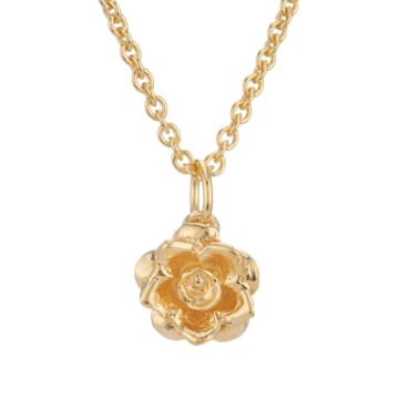 Collardmanson Gold Plated Rose Necklace