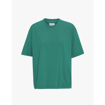 Colorful Standard Cs2056 Women Oversize Organic T-shirt Pine Green
